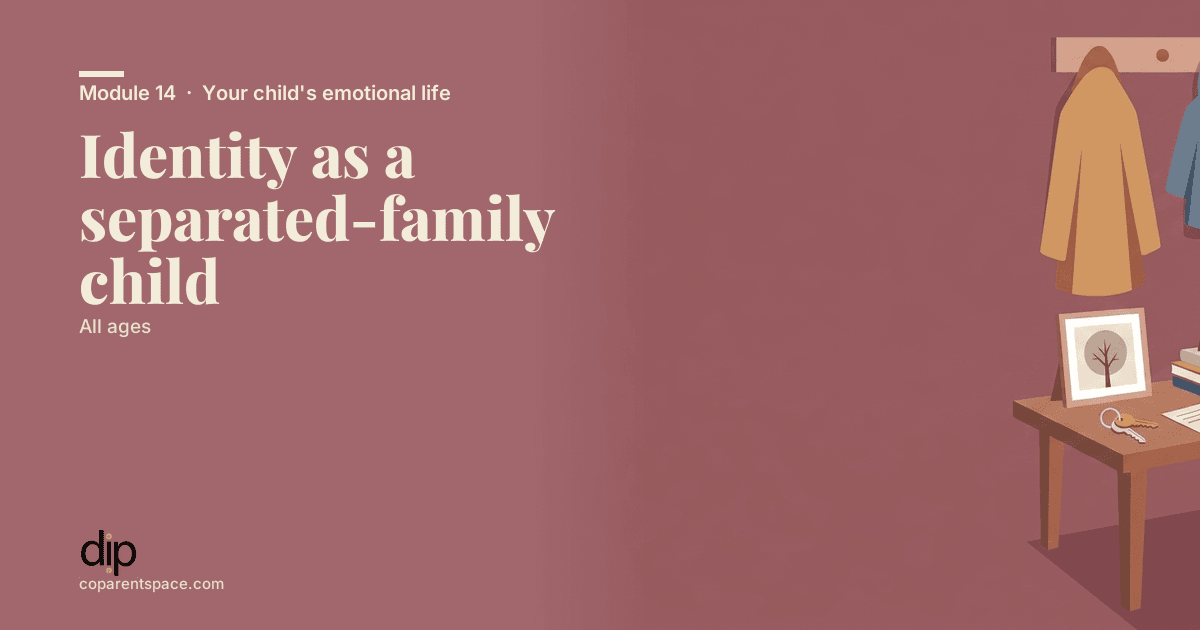 Identity as a separated-family child
