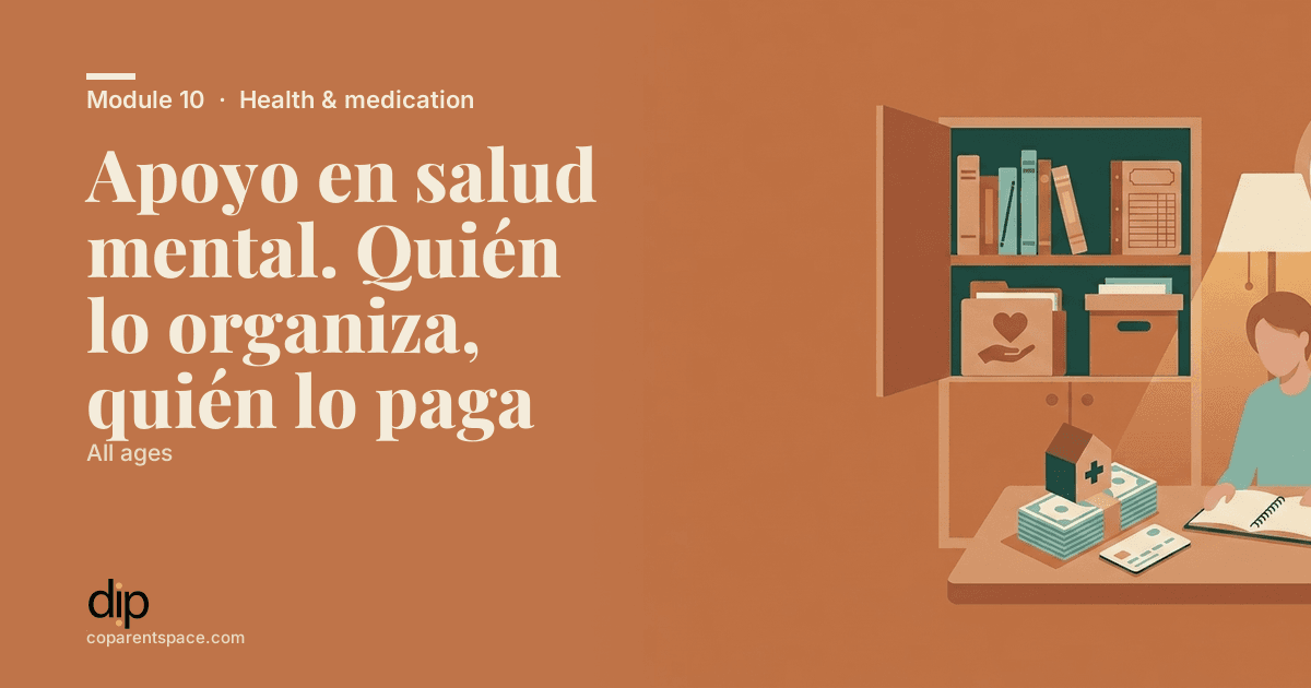 Apoyo en salud mental. Quién lo organiza, quién lo paga