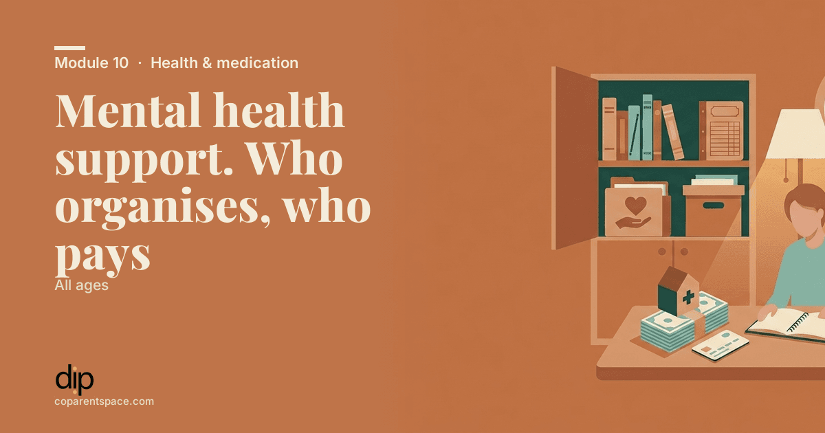 Mental health support. Who organises, who pays