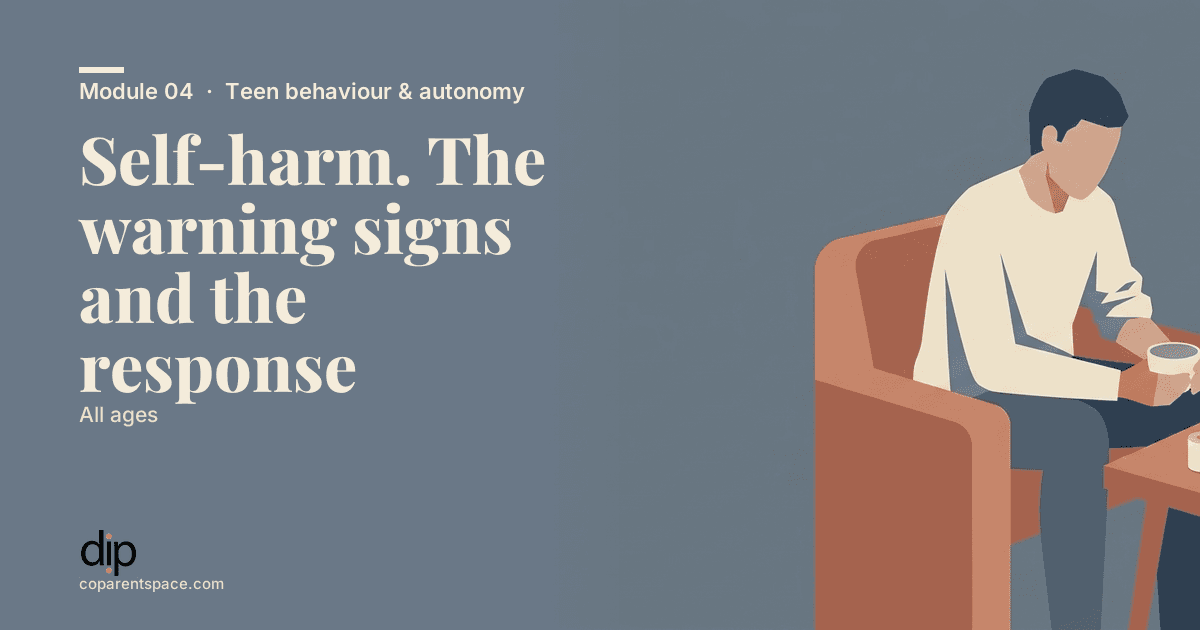 Self-harm. The warning signs and the response