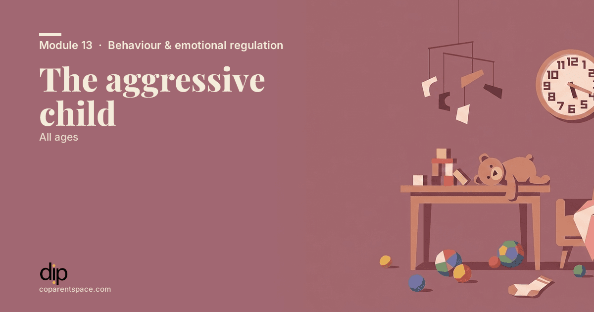 The aggressive child