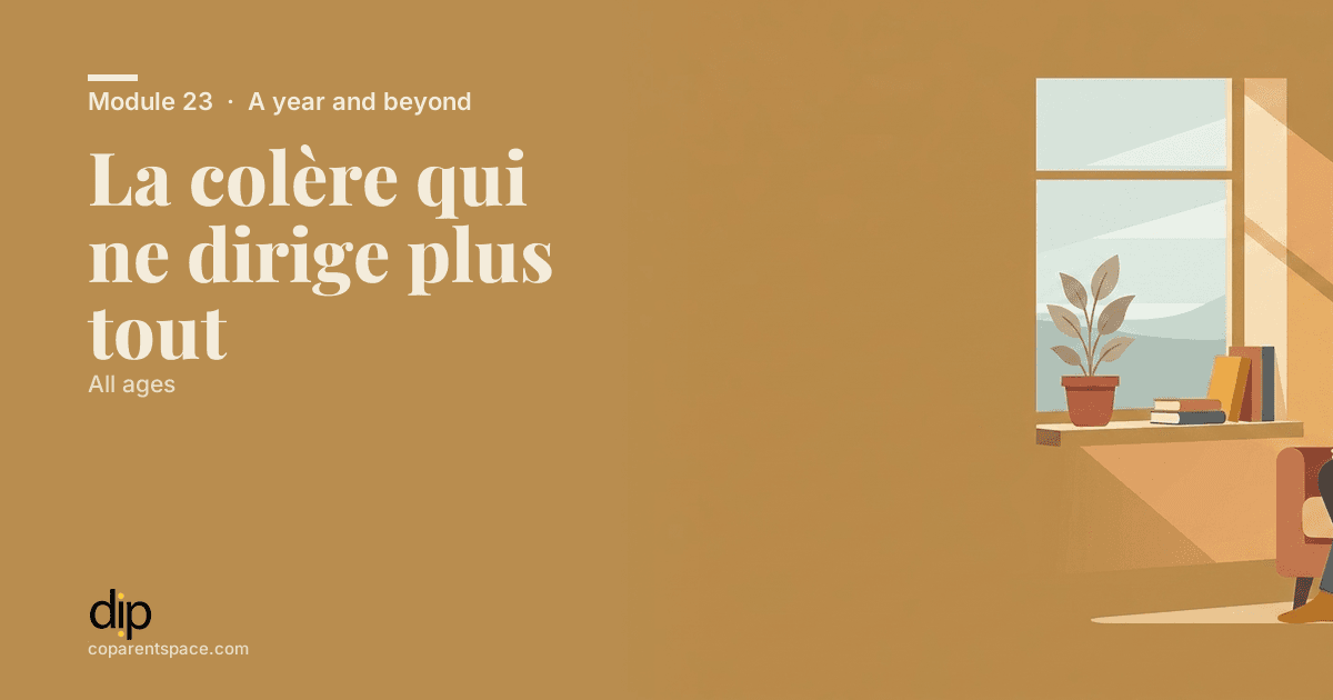La colère qui ne dirige plus tout