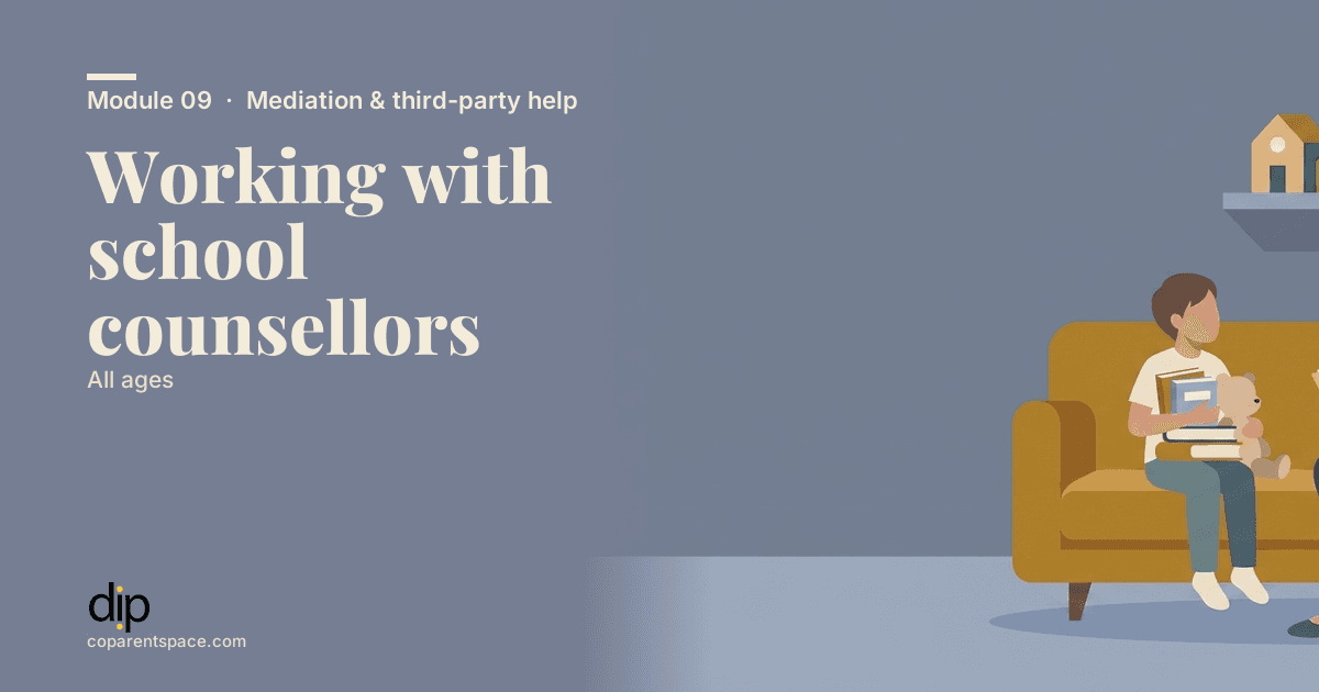 Working with school counsellors